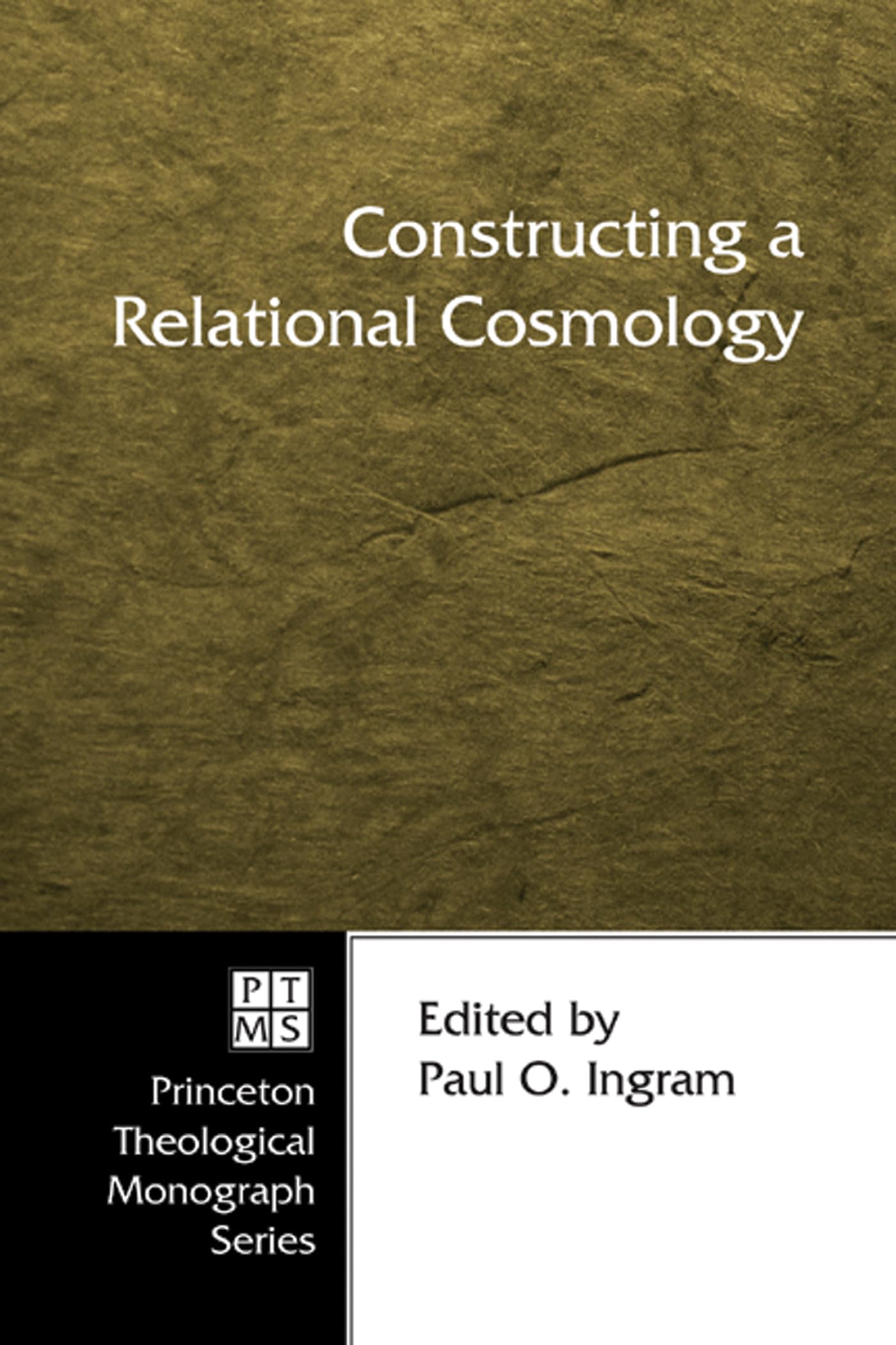 Constructing a Relational Cosmology: 62 (Princeton Theological Monograph)