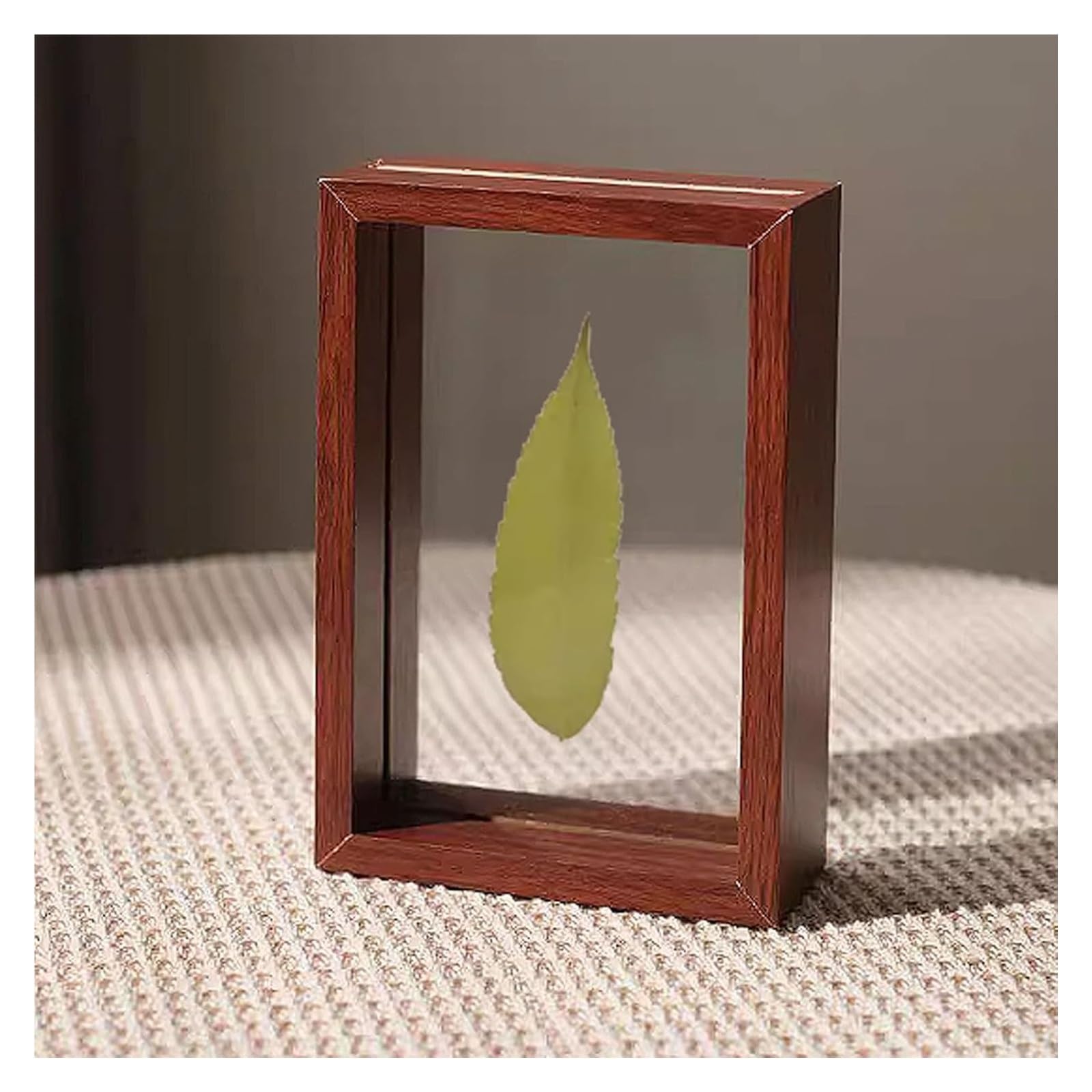 a4 frame, Double Sided Floating Glass Plant and Leaf Specimen Photo Frame Multicolor(Bruin,A4 (21 * 29.7cm))