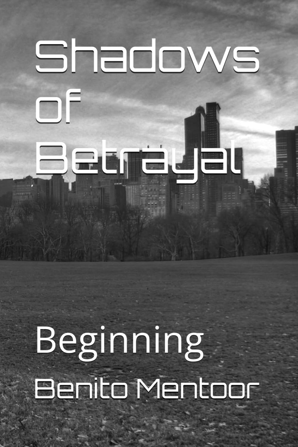 Shadows of Betrayal: Beginning