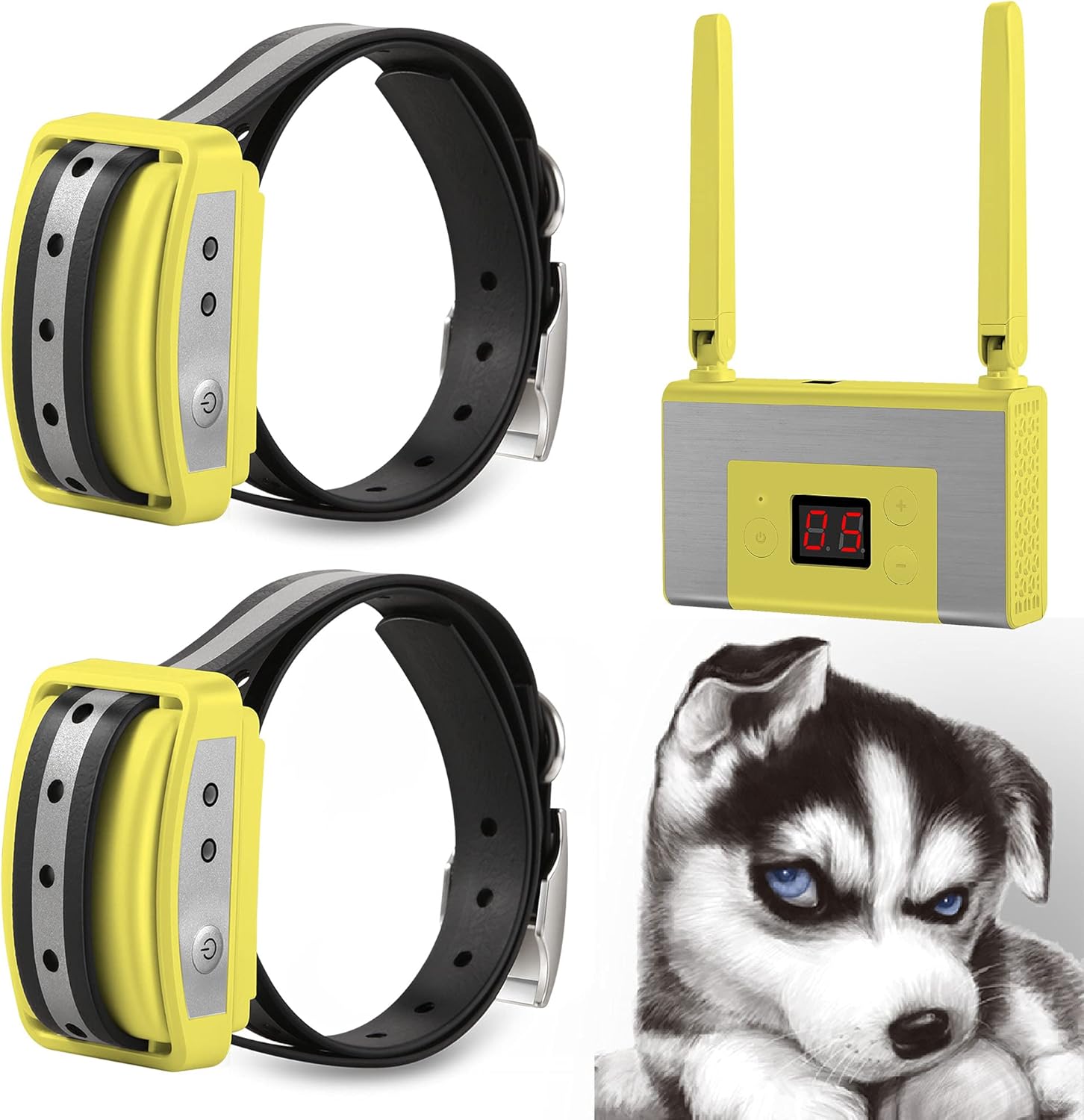 boundary dog collar