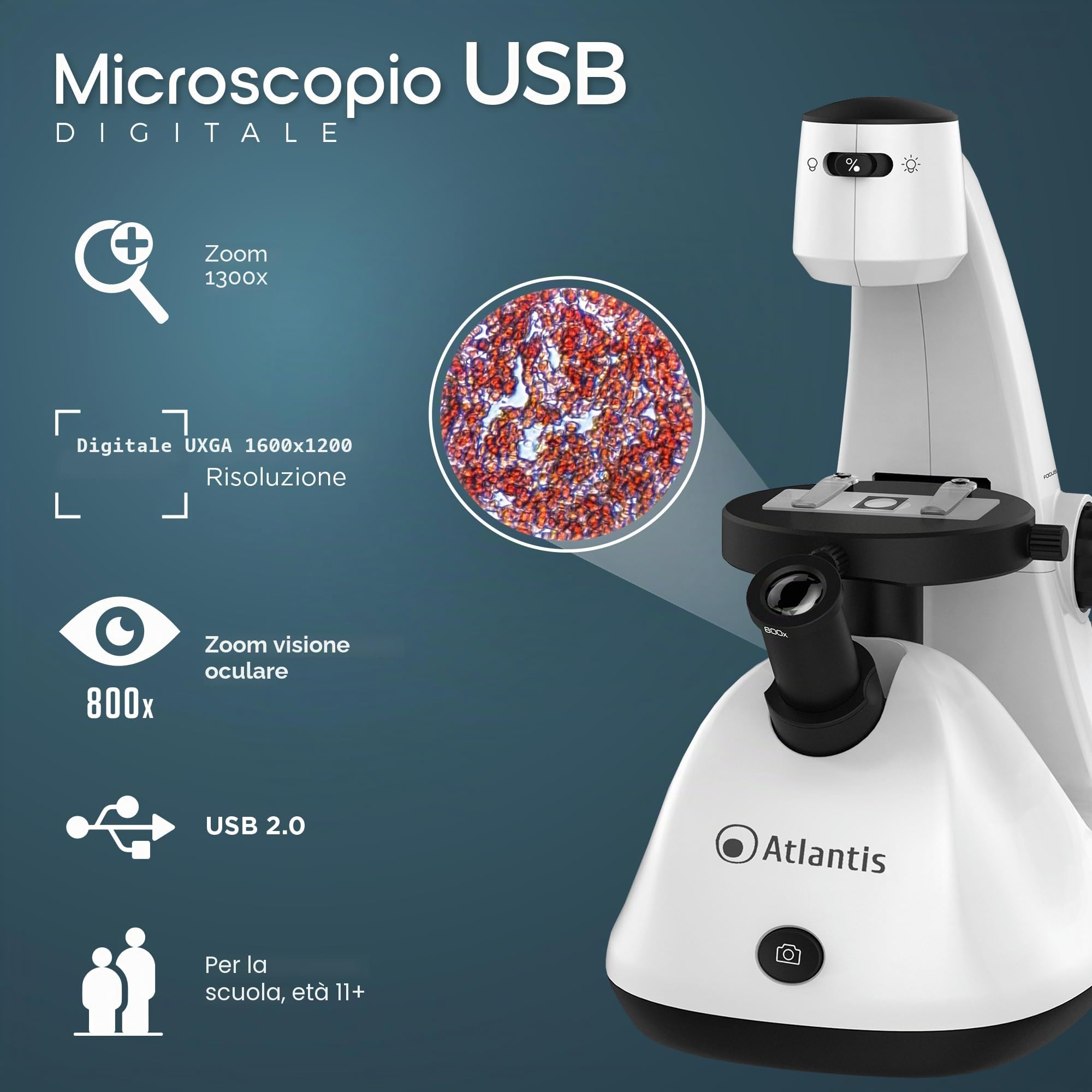 Microscopio Digitale Invertito USB Atlantis E45-MS729. Risoluzione UXGA 1600x1200. Ingradimento 1300x. Stab "X" e "Y". Messa a fuoco. Visore oculare. Illuminazione sup. ed inferiore. PC, MAC e Android