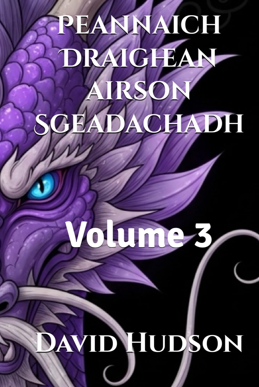 Peannaich Draighean Volume 3 pour sgeadachadh livre de decoration interieure ecossaise