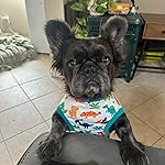 Review Image by molly molly