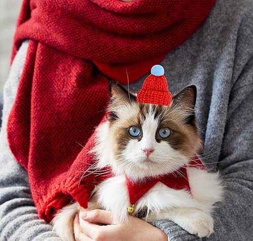 Miniatura 3 de PENTA ANGEL Mini sombreros de punto de Navidad 20 piezas de colores pequeños de lana de Papá Noel para muñecos de nieve colgantes de árbol de Navidad