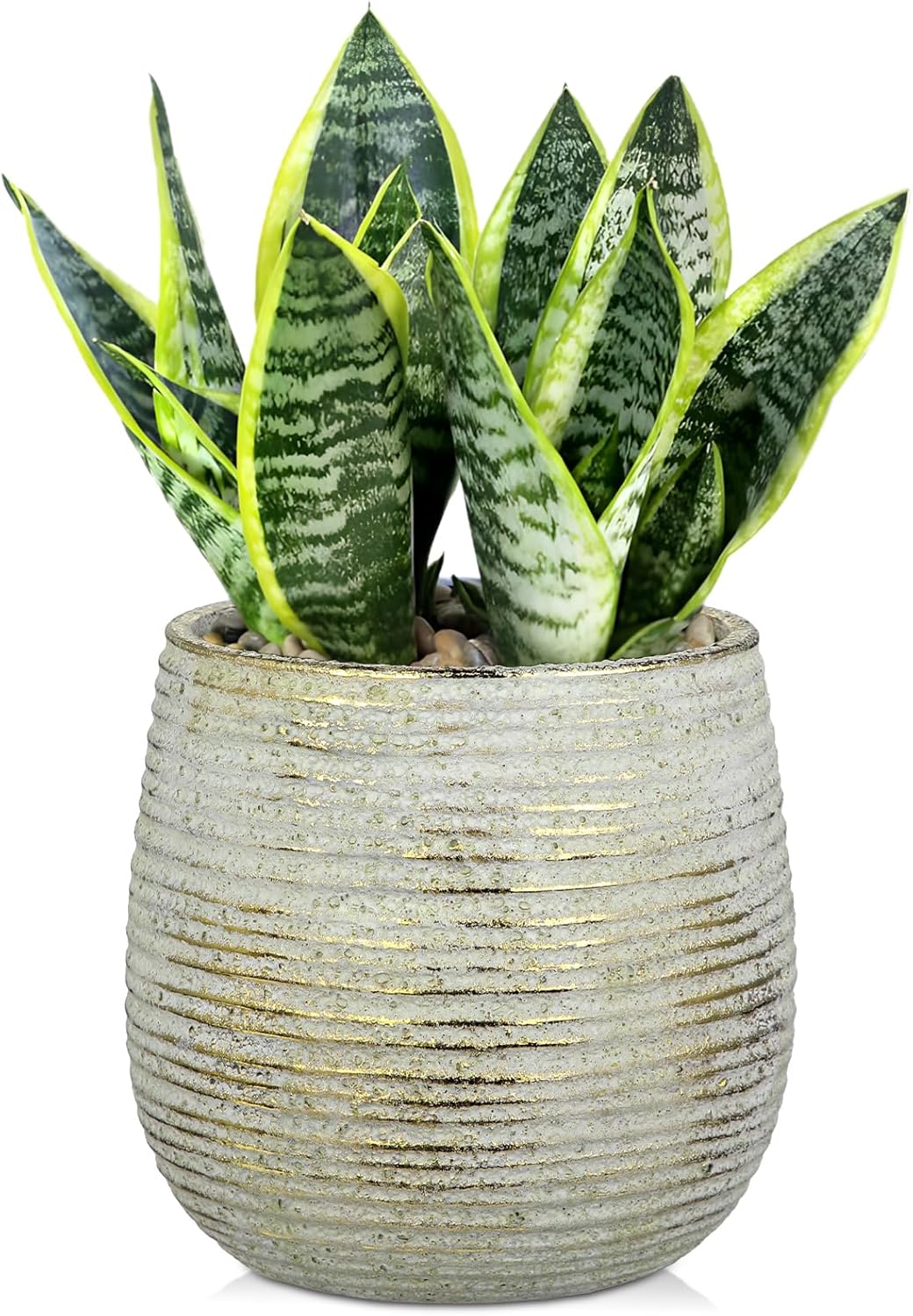 DILATATA Ceramic Pots with Drainage Hole 6.7 Inch Flower Plant Pot Indoor Round Planter Pot for Succulents, Cacti, Cactus, Snake Plants Home Decor - Gold Style 3-gold
