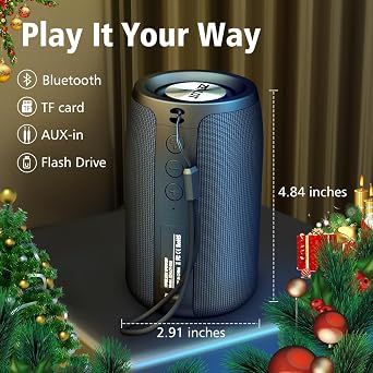 ZEALOT Portable Bluetooth Speakers, Wireless Speaker, S32 Samll Outdoor Speaker, Waterproof IPX5, Stereo Pairing/Bass/USB/MIC/TF Card/AUX for Home Outdoor Travel, Gift for Men, Kids -Black