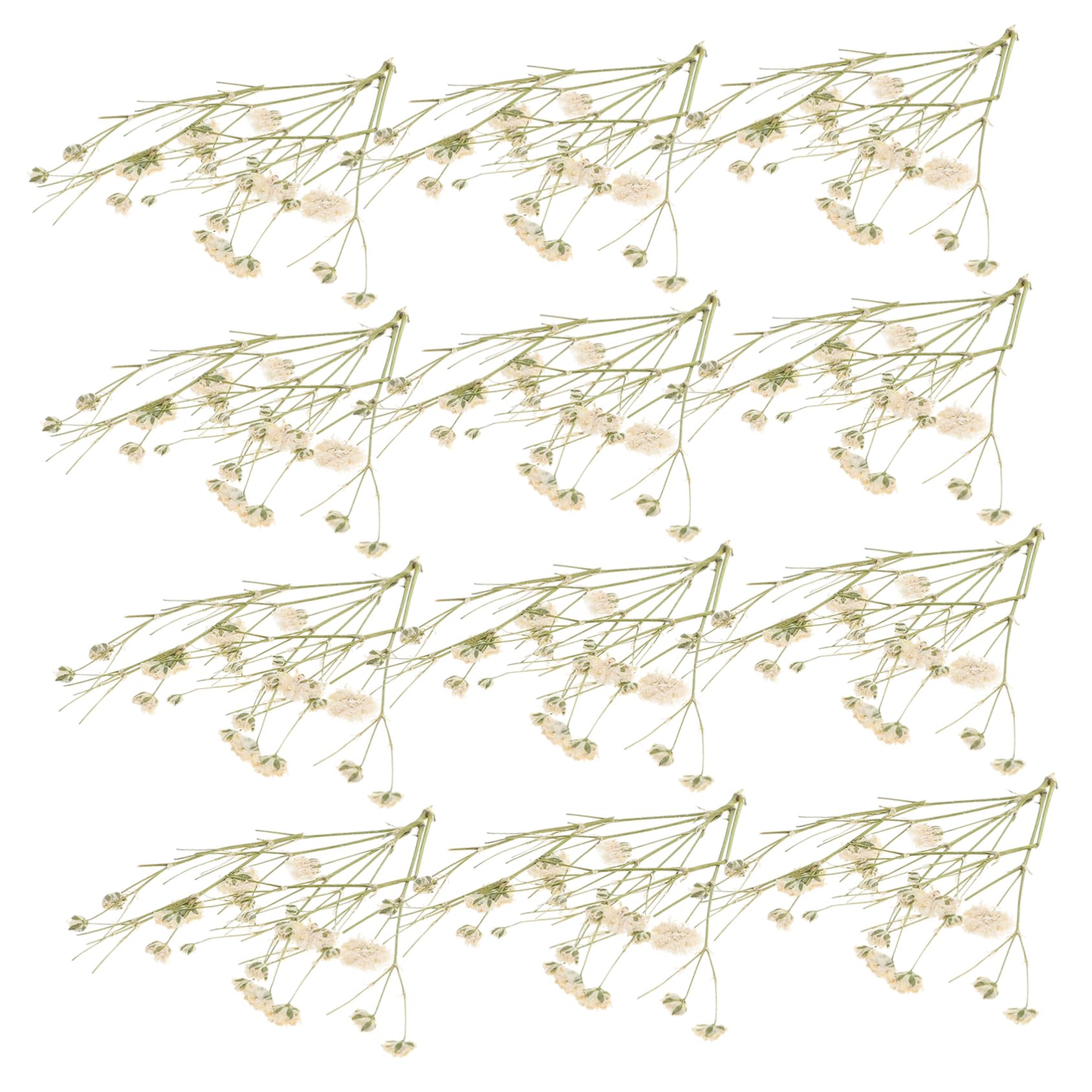 Cabilock 3 Pièces 1 Souffle en Banquet Séché Fleurs Naturelles Fleurs Séchées Éternelles Vases De Mariage Décor Fleurs Séchées Pressées Arrangement Floral Bricolage Matériel Ciel