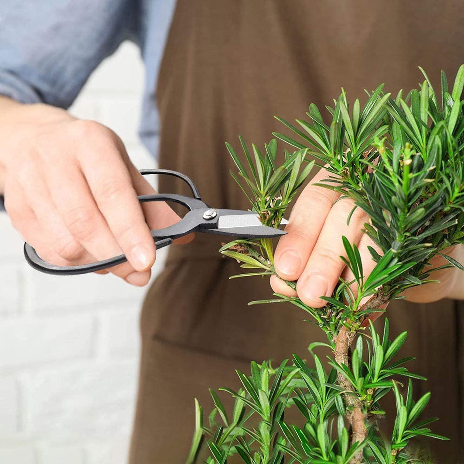 Set di Attrezzi per Bonsai, Professionale 15 Pezzi Pinze per Taglio a Forbici in Acciaio Inossidabile Set di Utensili per Giardinaggio con Foglia di germoglio, set di cesoia in acciaio al carbonio