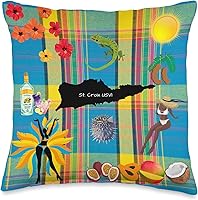 Vista 5 de MSW Clothing and Accessories St. Croix Vibes - Almohada (18 x 18 pulgadas), multicolor