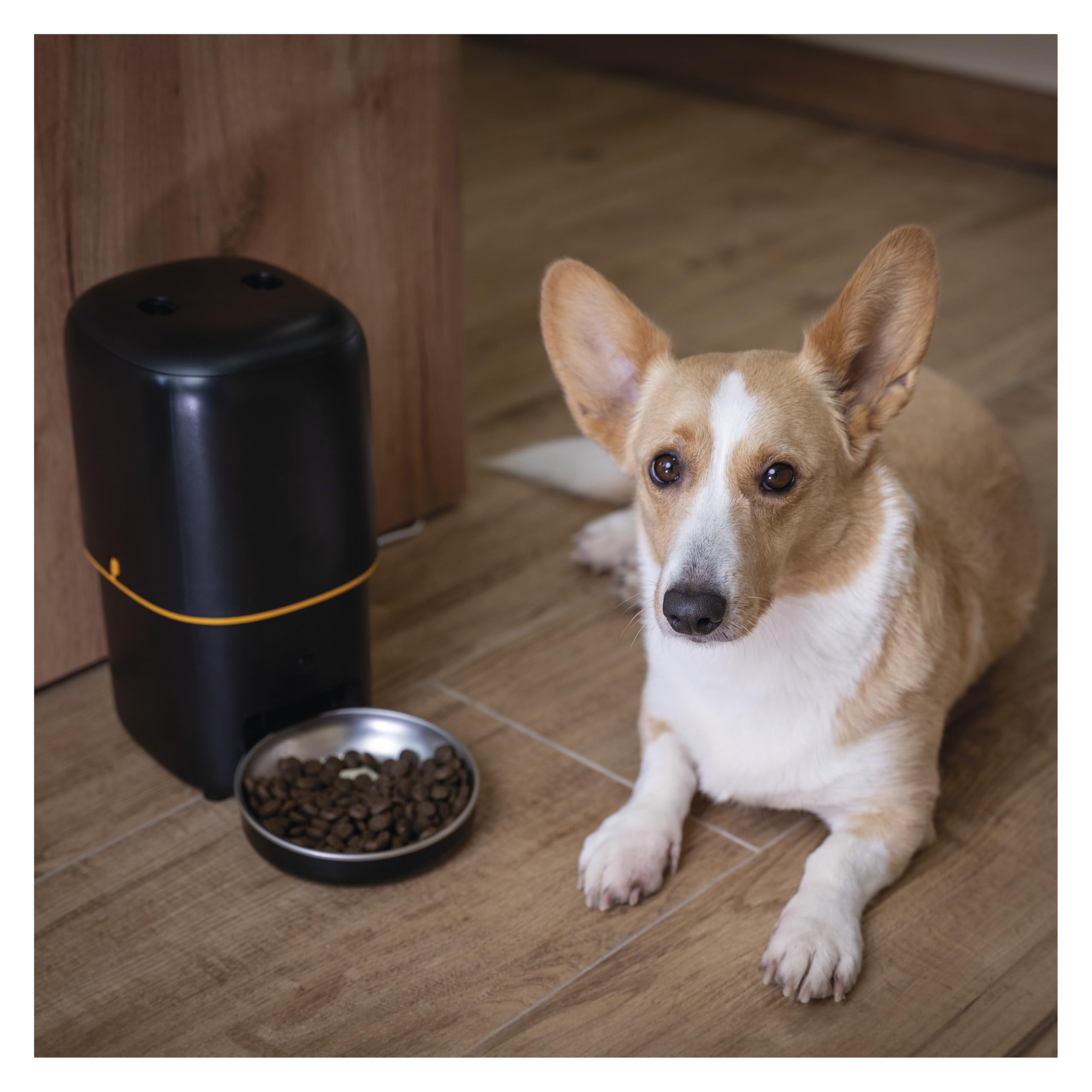 EMOS - GoSmart Futterautomat 4 l - WLAN Pet Care Futterspender mit App - Trockenfutter Automat für Katze & Hund mit Zeitplan, Sprachaufzeichnung, Dosierung 1–10 Mahlzeiten pro Tag - Schwarz
