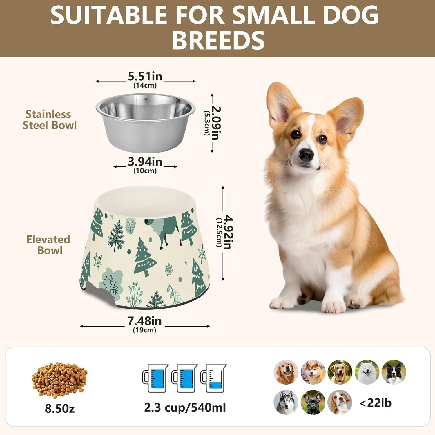 Teal Six Playful Buffalo Boho Pets Food Bowls with Stand Stainless Steel Cats Food Dish for Slow Feed Cats Whisker Relief Plato para Gatos