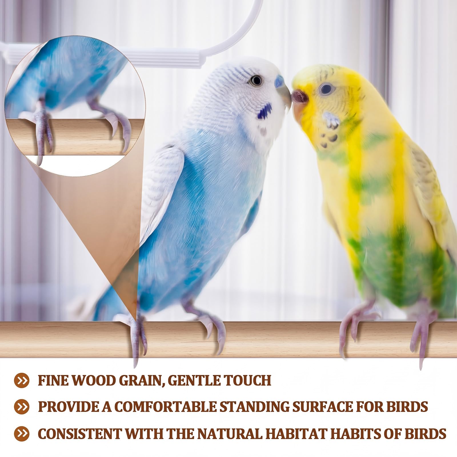 Sintuff Lot de 8 perchoirs à oiseaux pour accessoires de cage, tiges de rechange en bois avec double fente pour tête, support en bois naturel de 1,5 cm de diamètre pour perroquet, ara, cacatoès