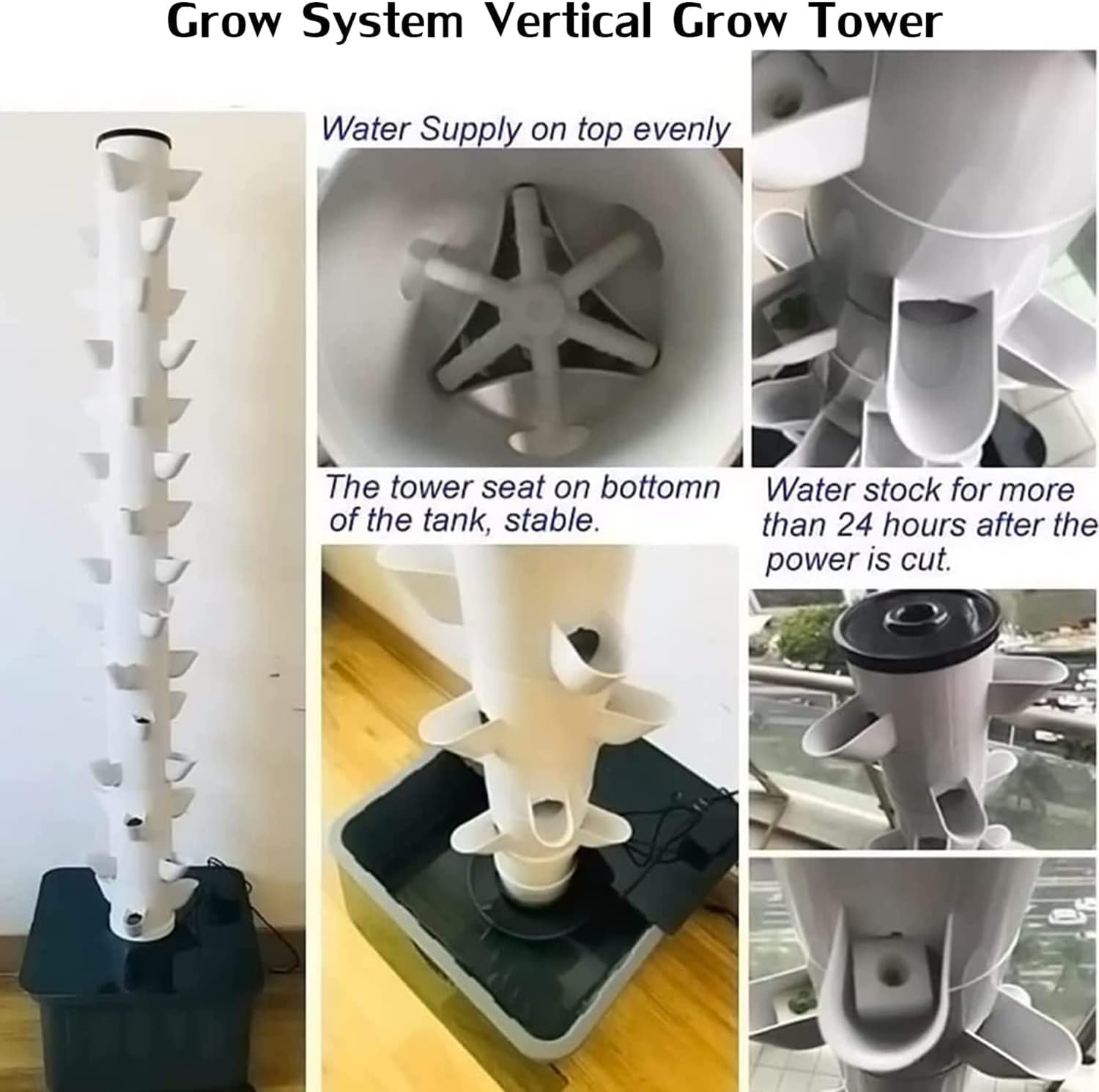 【現品】発根済　大株　バオバブの木　バオバブ・ディギタータ　7号鉢　By26番 現品】発根済 大株 バオバブの木 バオバブ・ディギタータ 7号鉢