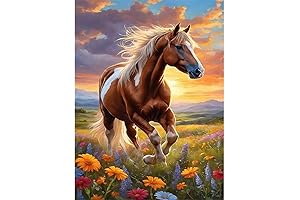 Horse Diamond Painting Kits for Adults, Creative Canvas Painting by Numbers Arts Craft Kit