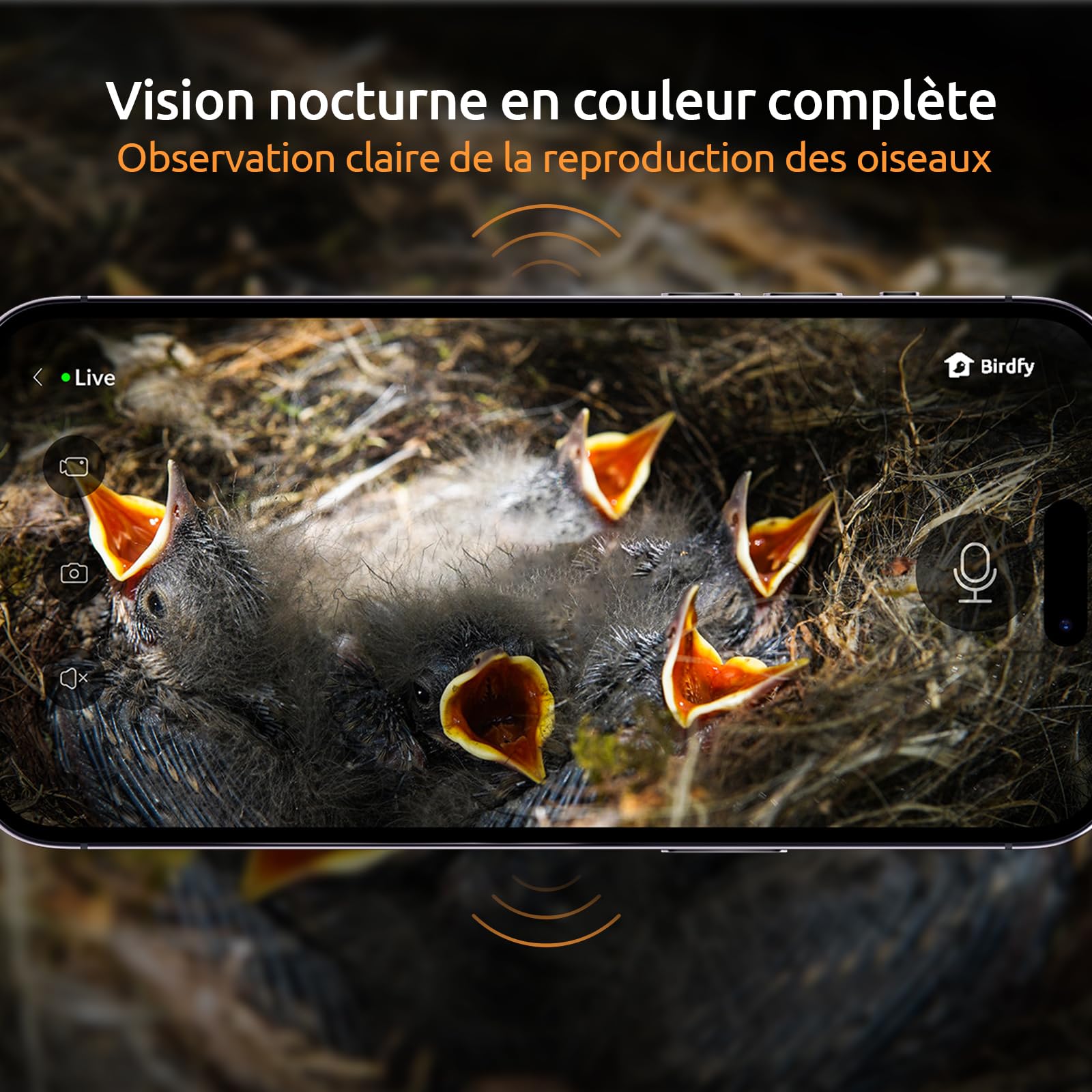 Netvue by Birdfy Nichoir Oiseaux avec Deux Camera Intelligente, Cabane pour Éclore Oiseaux Jardin Terrasse Maison Caméras Connectées IA Identifie Comportement Oiseaux & Crée Histoire Nid Oiseau