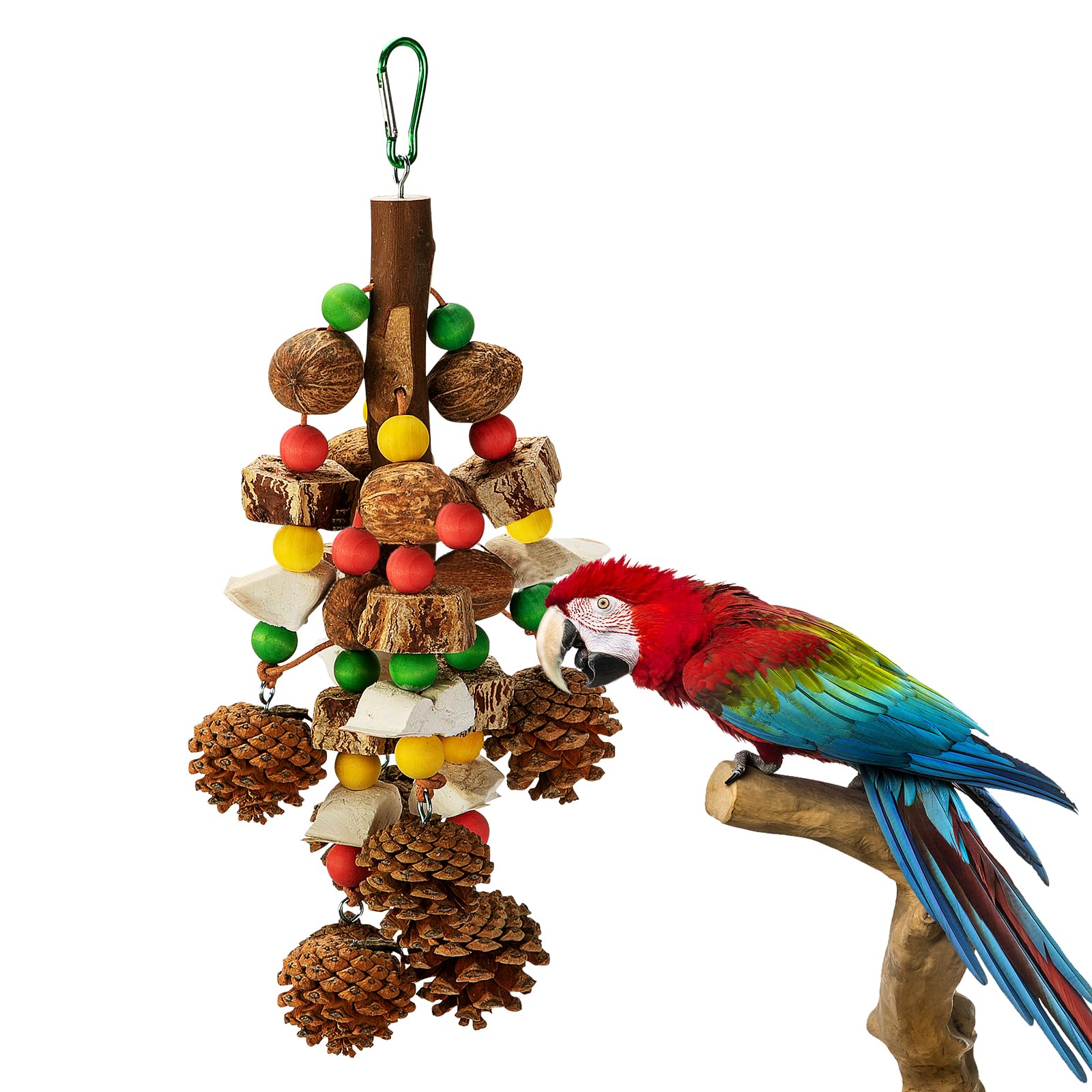 Newsmy Parrot Chewing Toys, Nuts Parrot Toys Supplement Calcium, Containing Natural Materials, Cuttlefish Bone