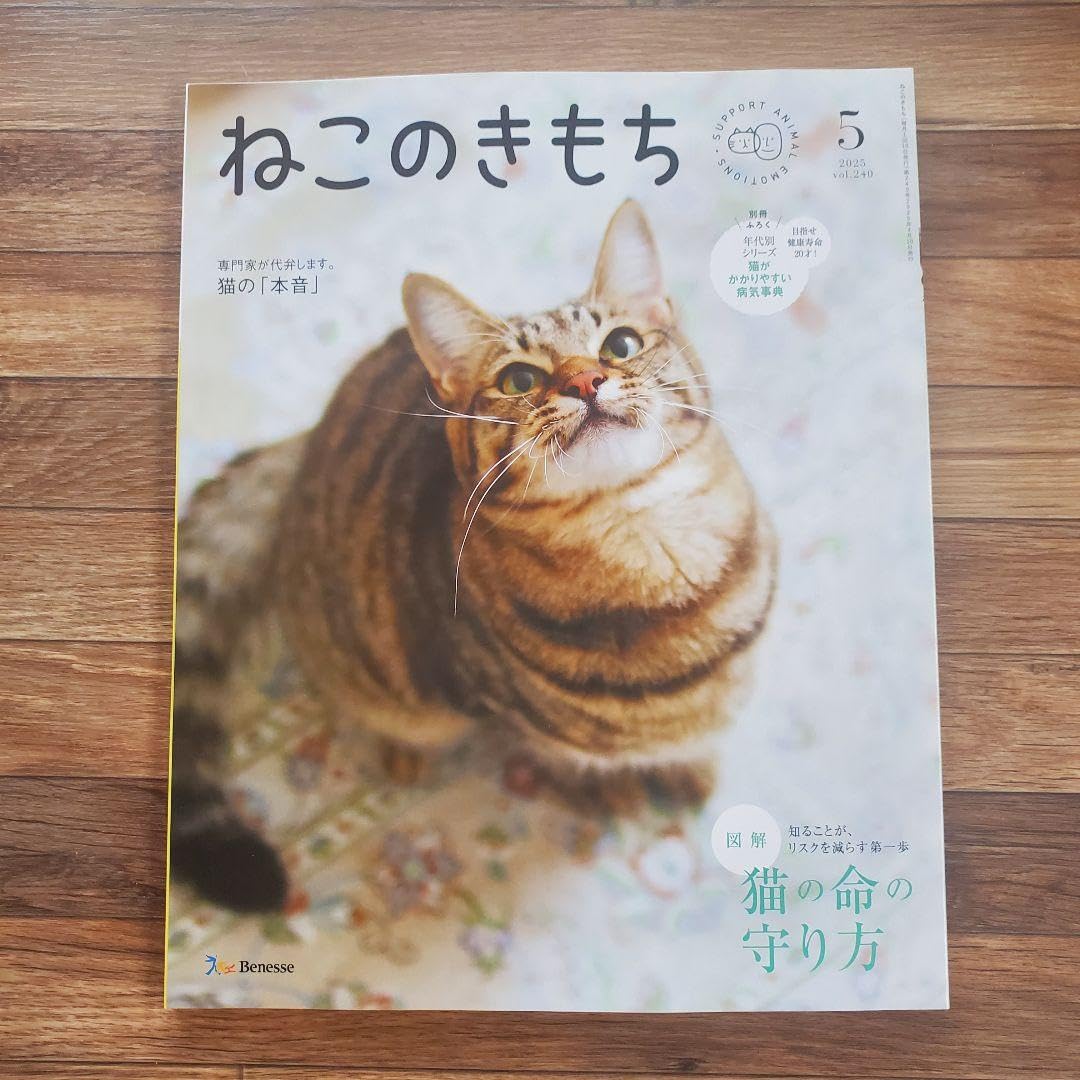 猫のきもち キモチ / ネコのきもち ホットアイマスクアソートセットの公式