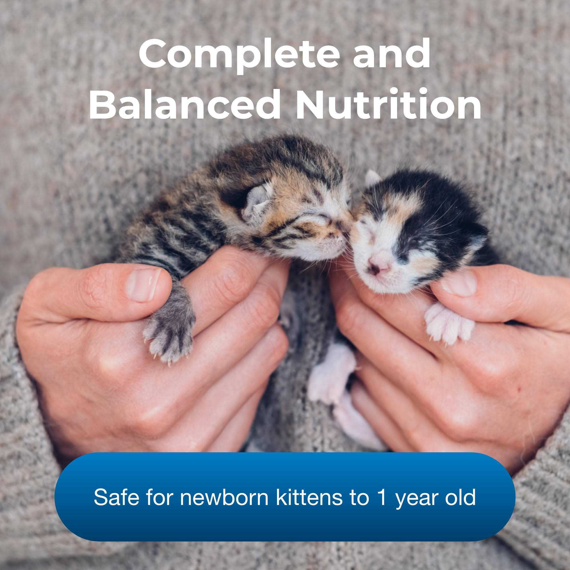 Pet-Ag KMR Kitten Milk Replacer Powder - 12 oz, Pack of 2 - Powdered Kitten Formula with Prebiotics, Probiotics & Vitamins for Newborn Kittens to 1 Year old - Easy to Digest