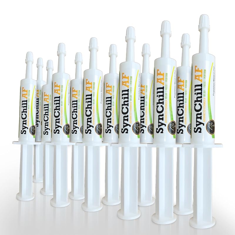 Suplemento para equinos em gel SynChill AF sem L-Theanine SynNutra Equine — Pacote com 12