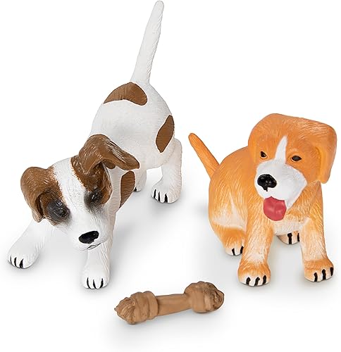 Miniatura 5 de Terra Casa para perros