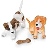 Product Photo 6