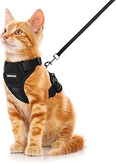CatRomance Cat Harness Escape Proof, Breathable Mesh Cat Walking Harness, Adjustable Cat Harness and Leash Set with Reflective Strips, Kitten Vest Harness with Leash XS Black
