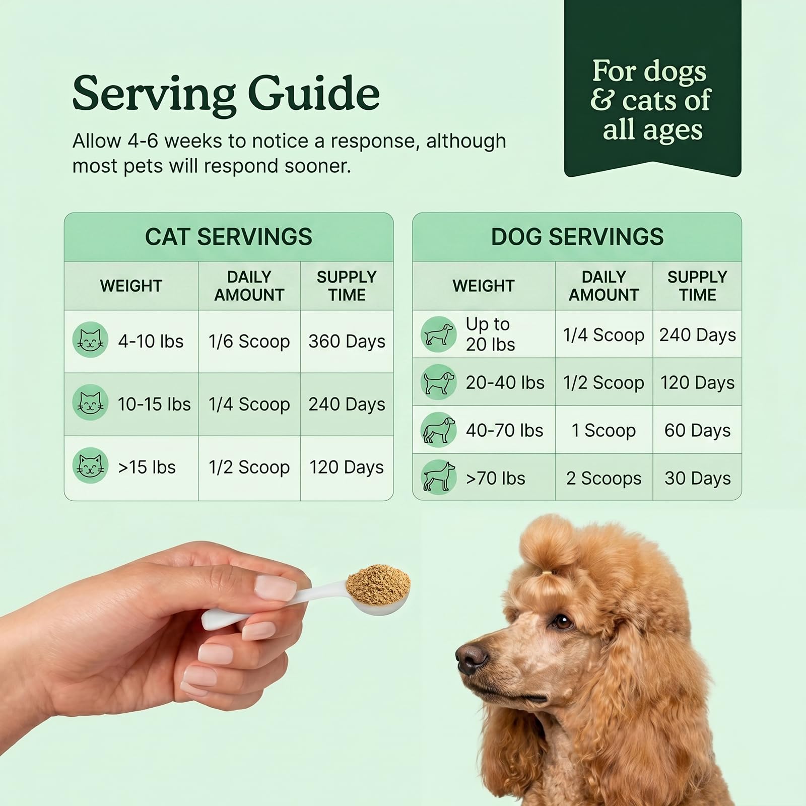 Nuzzhalo Turkey Tail CoQ10 Mushroom Powder for Senior Dogs Cats 60-Day Mix — Amazon image 5