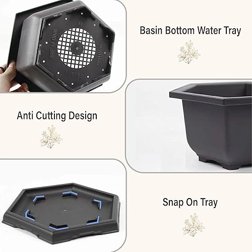 Miniatura 6 de Tres ollas y bandejas hexagonales de plástico para bonsái + pala de plástico y 6 marcadores en forma de T