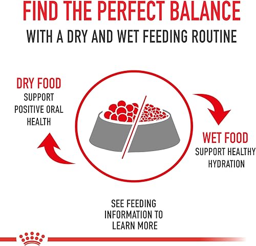 Miniatura 7 de Royal Canin Size Health Nutrition Large Adult Dry Dog Food
