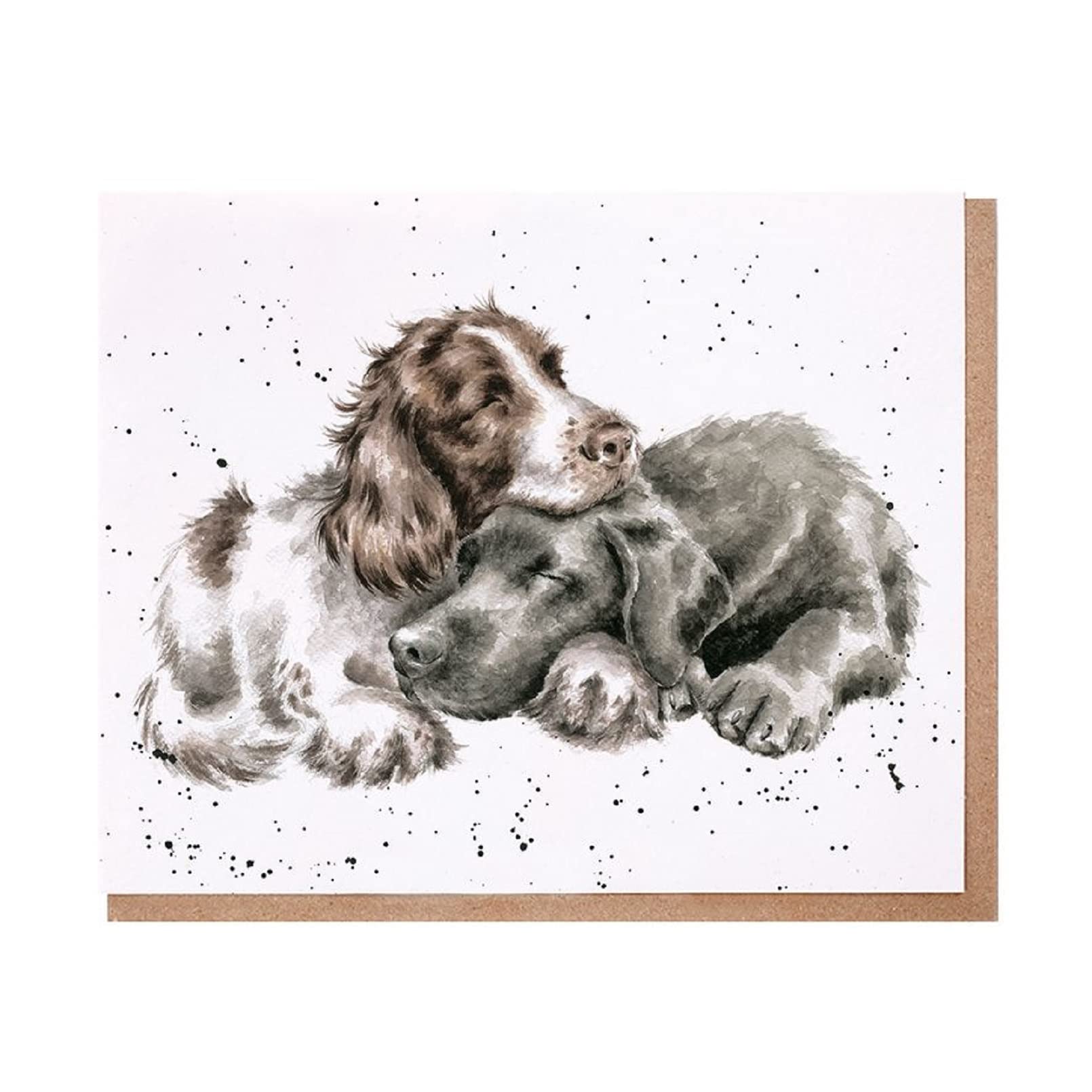 Wrendale Grußkarte „Ladybird, Katze & Marienkäfer“ – 15x15 Cm Doppelkarte, Innen Blanko, Mit Umschlag