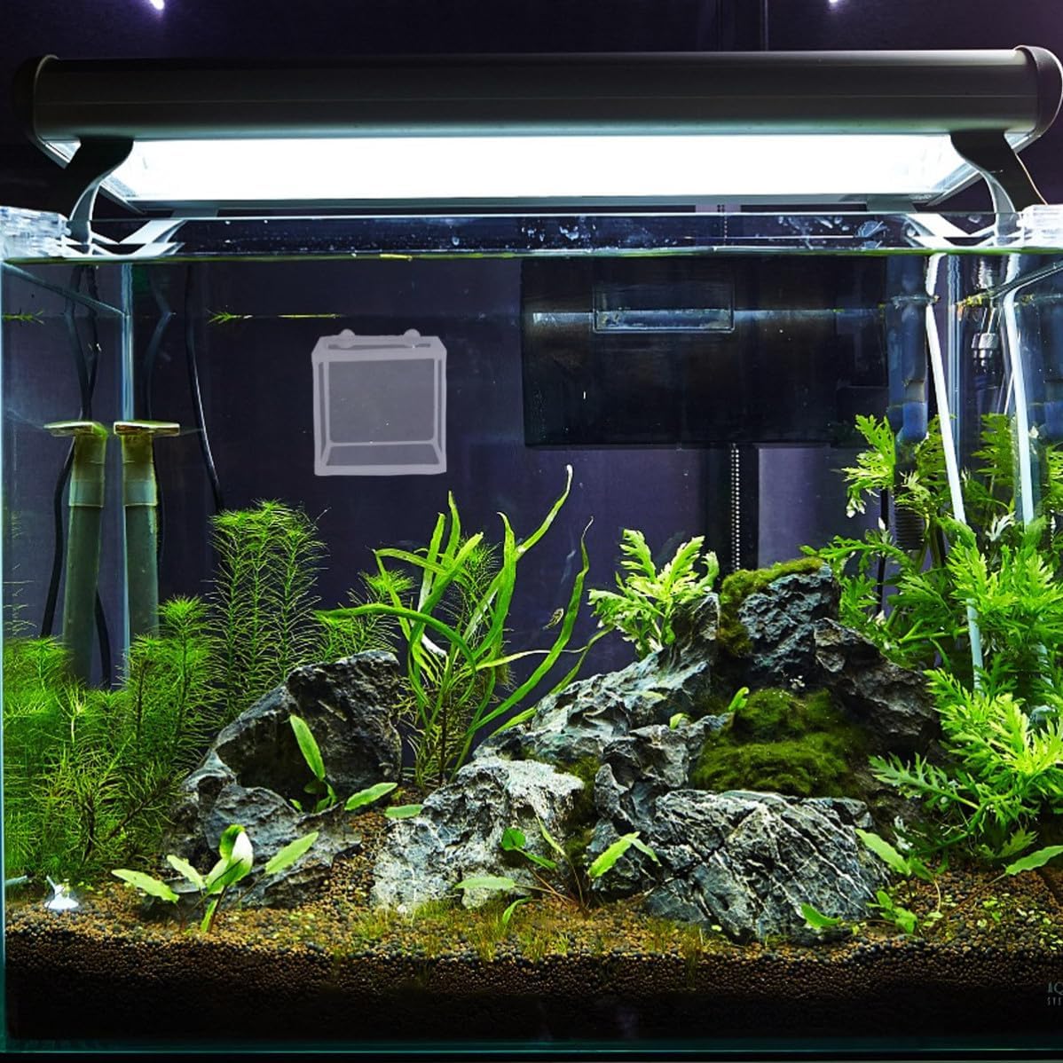 2pcs Compact Home Tank Case with Floating Isolation Net for Fish Breeding, White Plastic and Cloth Material, for Aquarium and Home Fish Tank Use