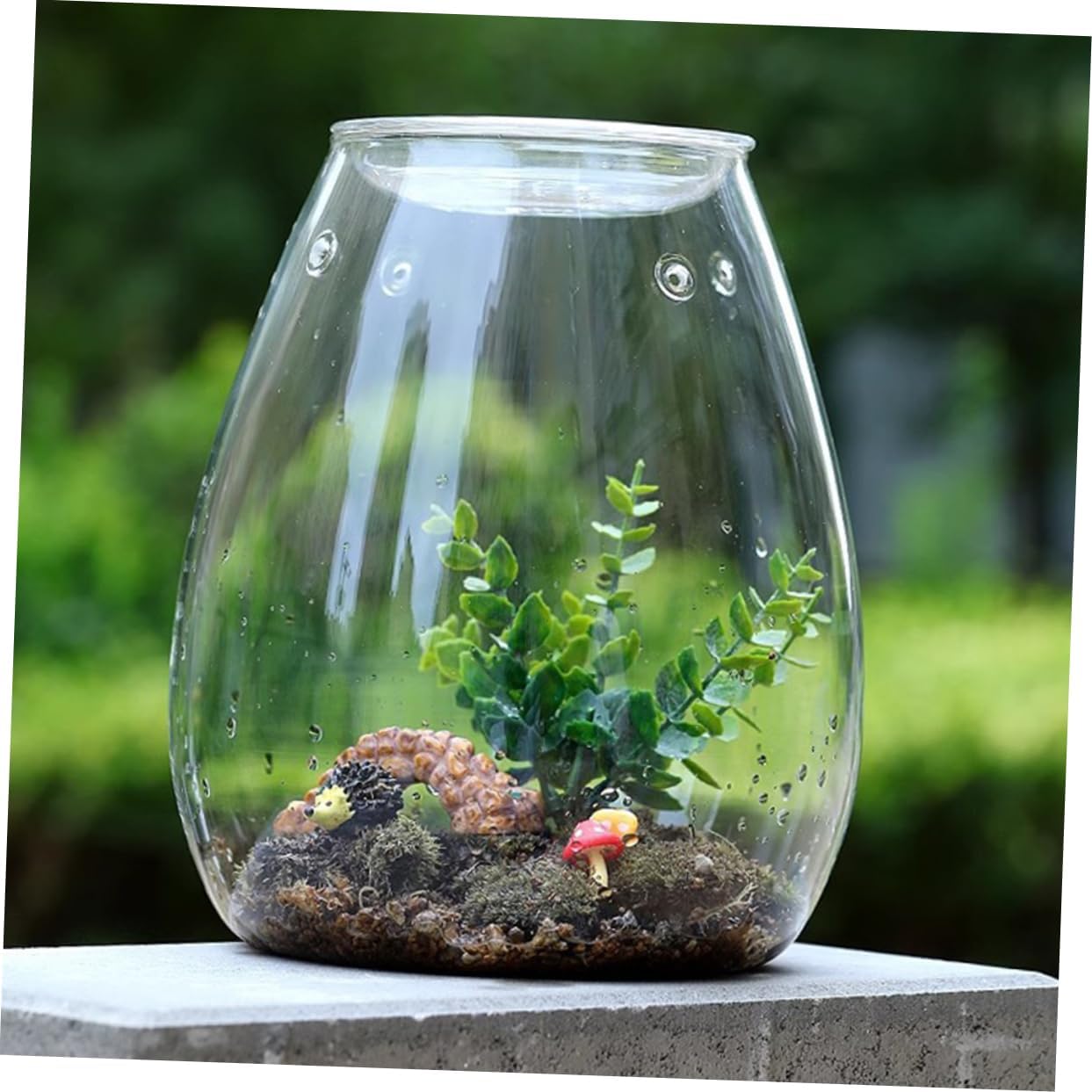 Empty Hydroponic Glass Terrarium Bottle Landscape Container for Home Decor Decorative Vase for Plants and Office Ornament