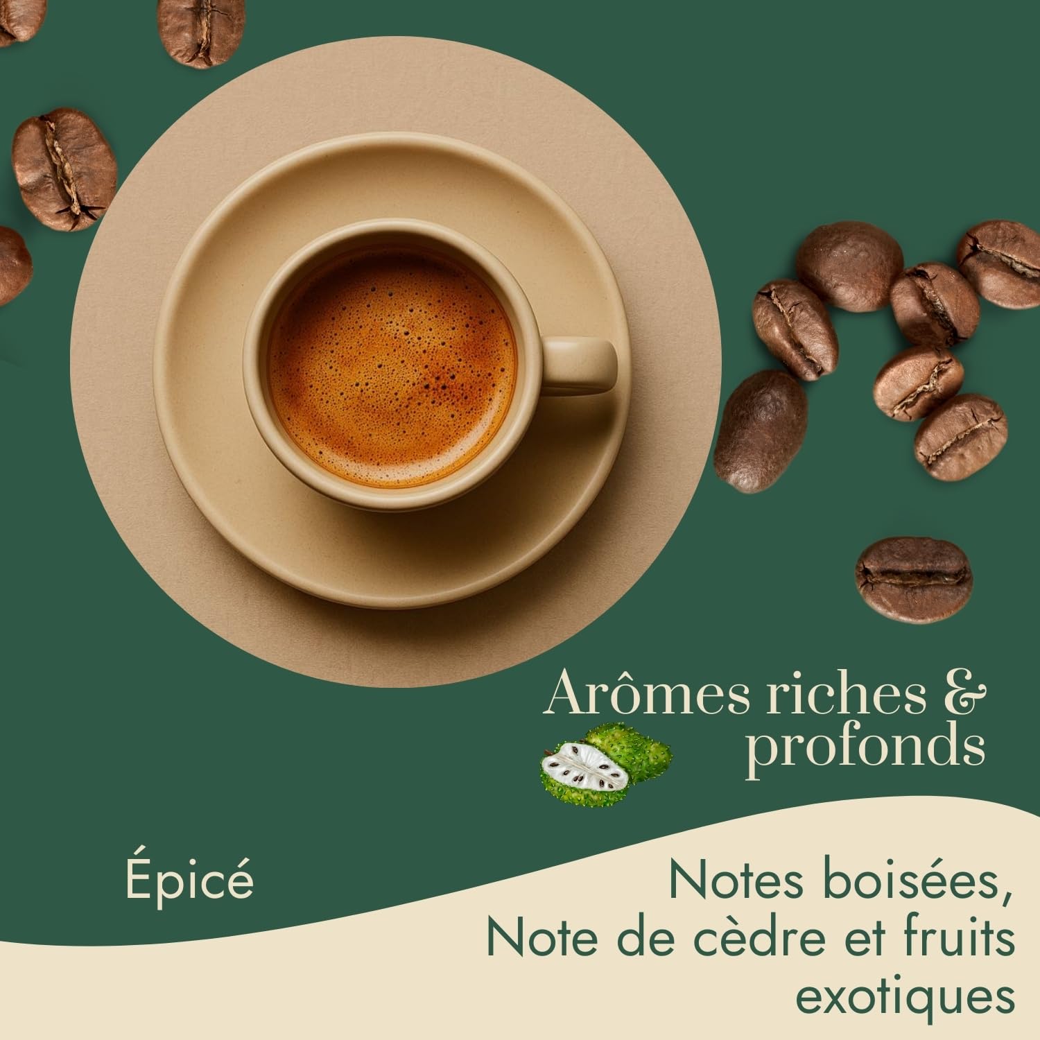 Café Vert en Grain Indonésie Java Jampit 1kg | 100% Arabica Non Torréfié | Café Brut à Torréfier Maison | Arômes Cèdre, Tabac, Épices | Idéal Machine à Cafe Grain