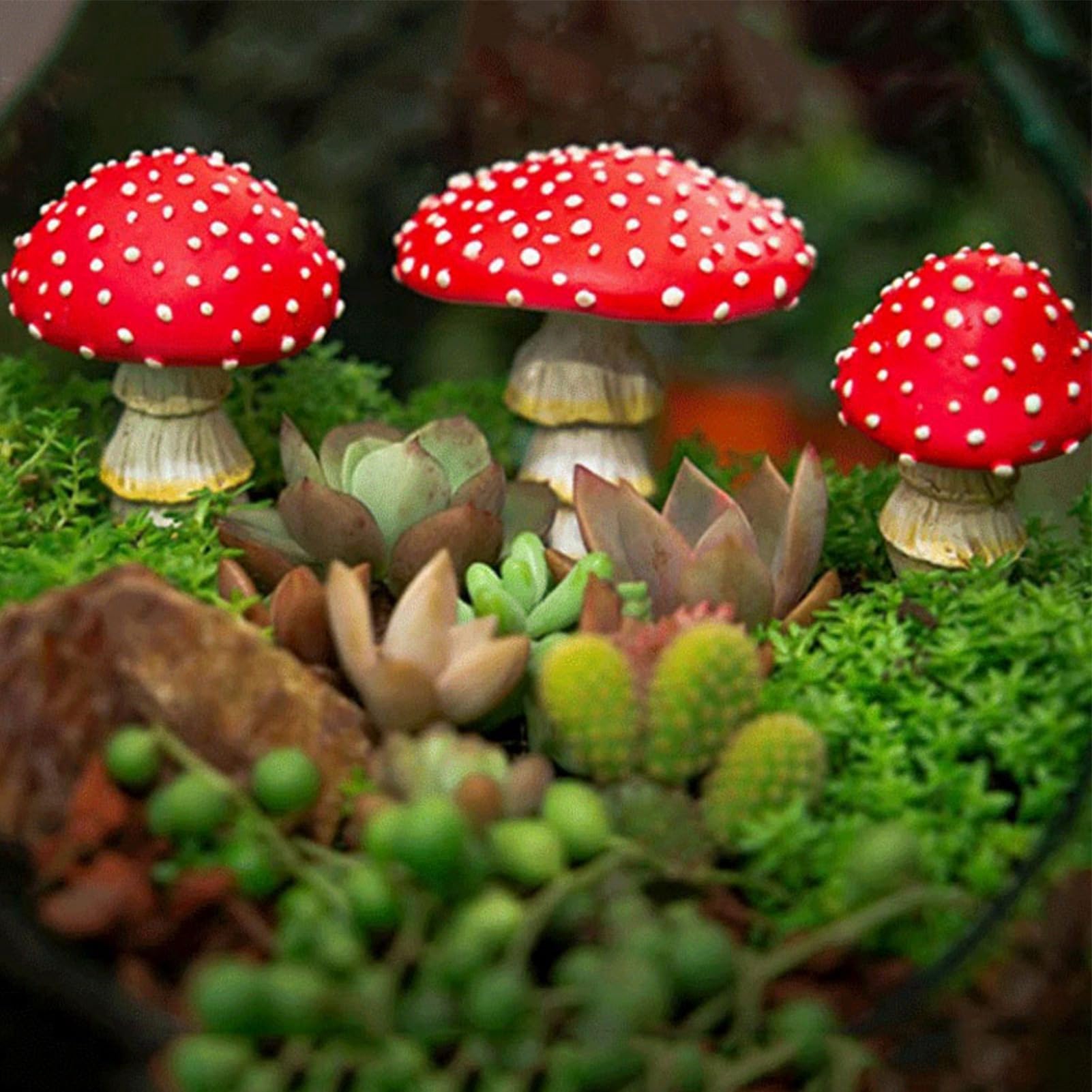 Decorazioni Per Giardino, Terrari, Vasi, Mini Paesaggi, Festive