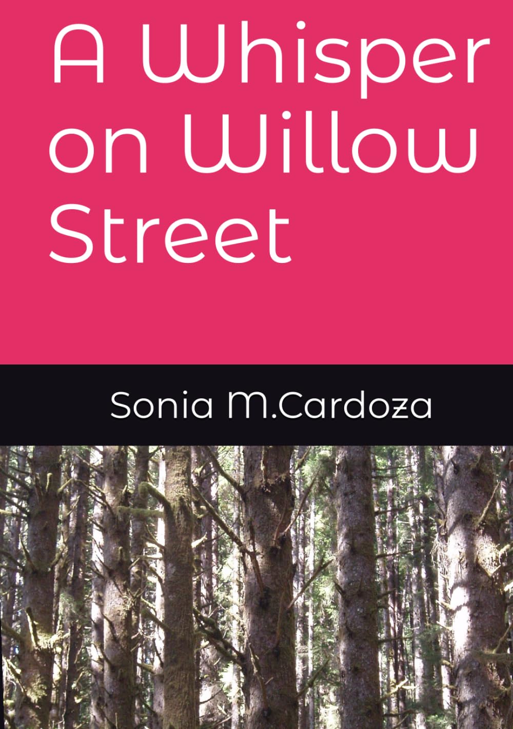 A Whisper on Willow Street