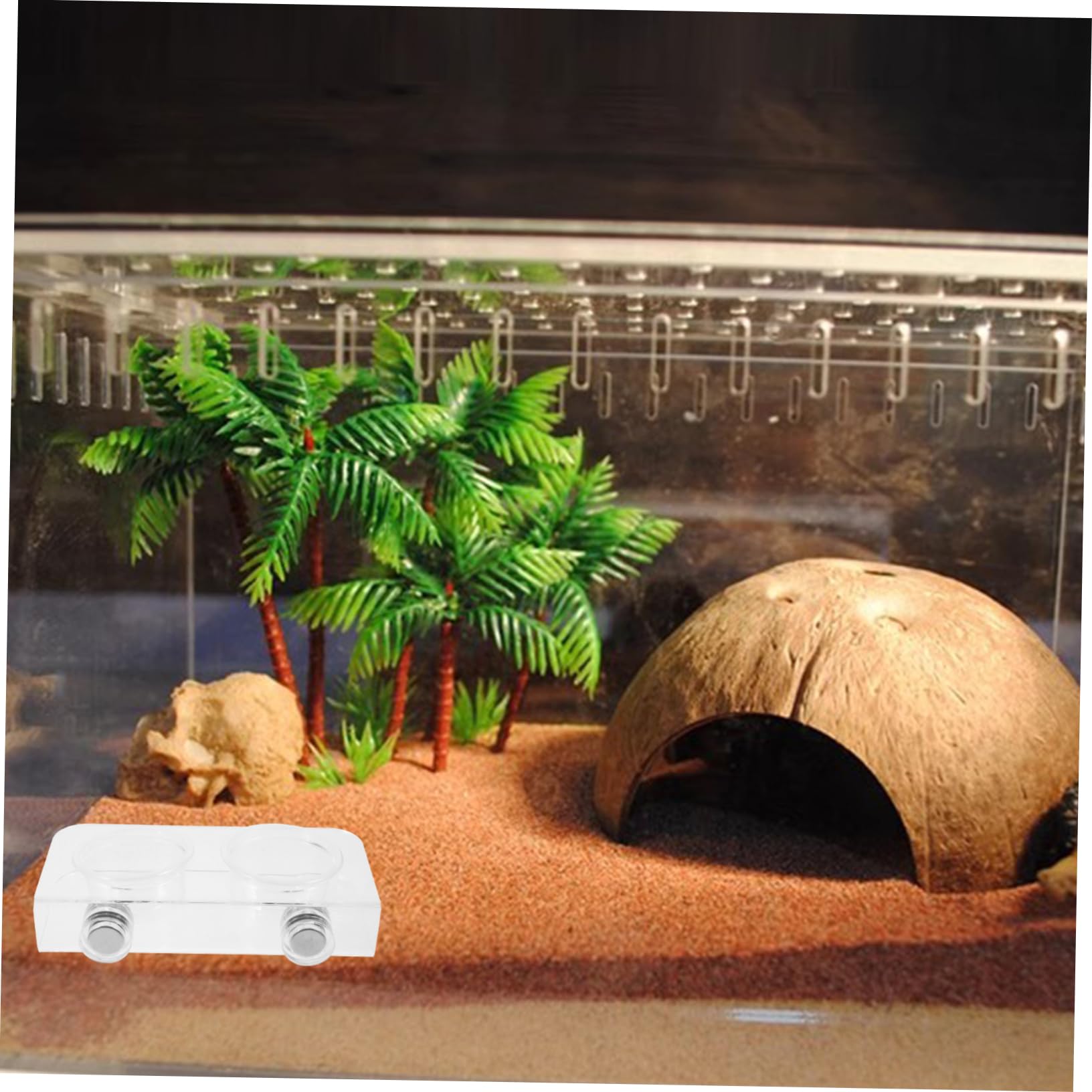 YARNOW 4 Ensembles Mangeoire pour Reptiles Rebord d'alimentation pour Gecko Rebord d'alimentation pour Gecko Tasses De Nourriture pour Gecko Accessoires De Terrarium Gecko Bol d'eau Bol