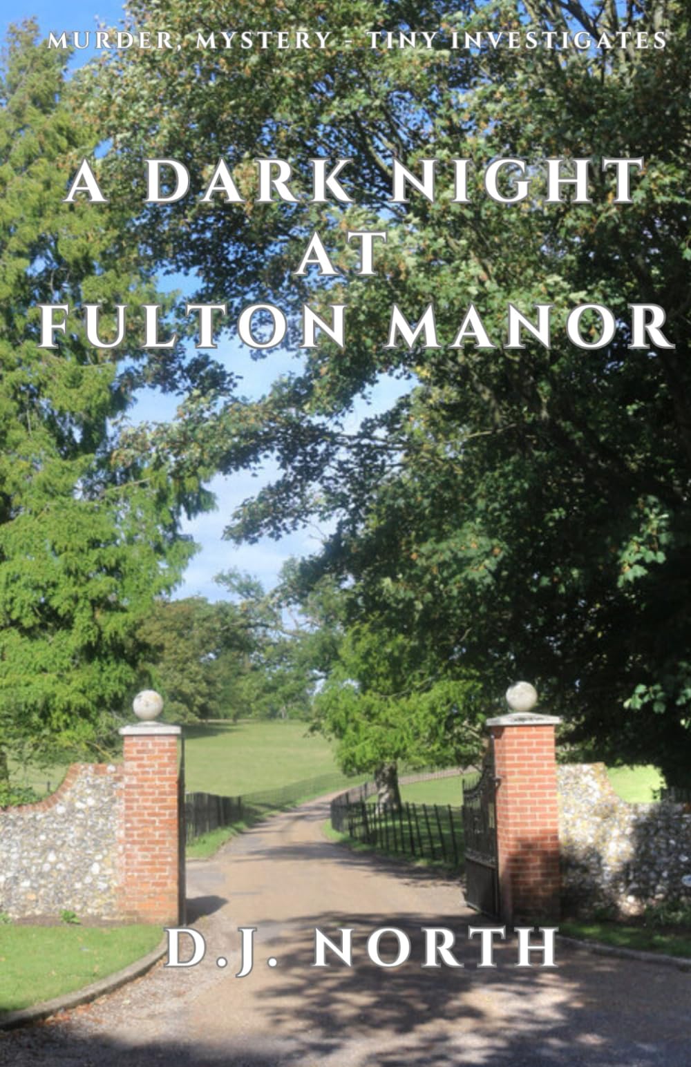 A Dark Night at Fulton Manor (Murder, mystery - Tiny investigates)