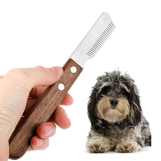 Cuchillo de corte para perros con mango de madera sin filo duro Dachshund Terrier de pelo fino