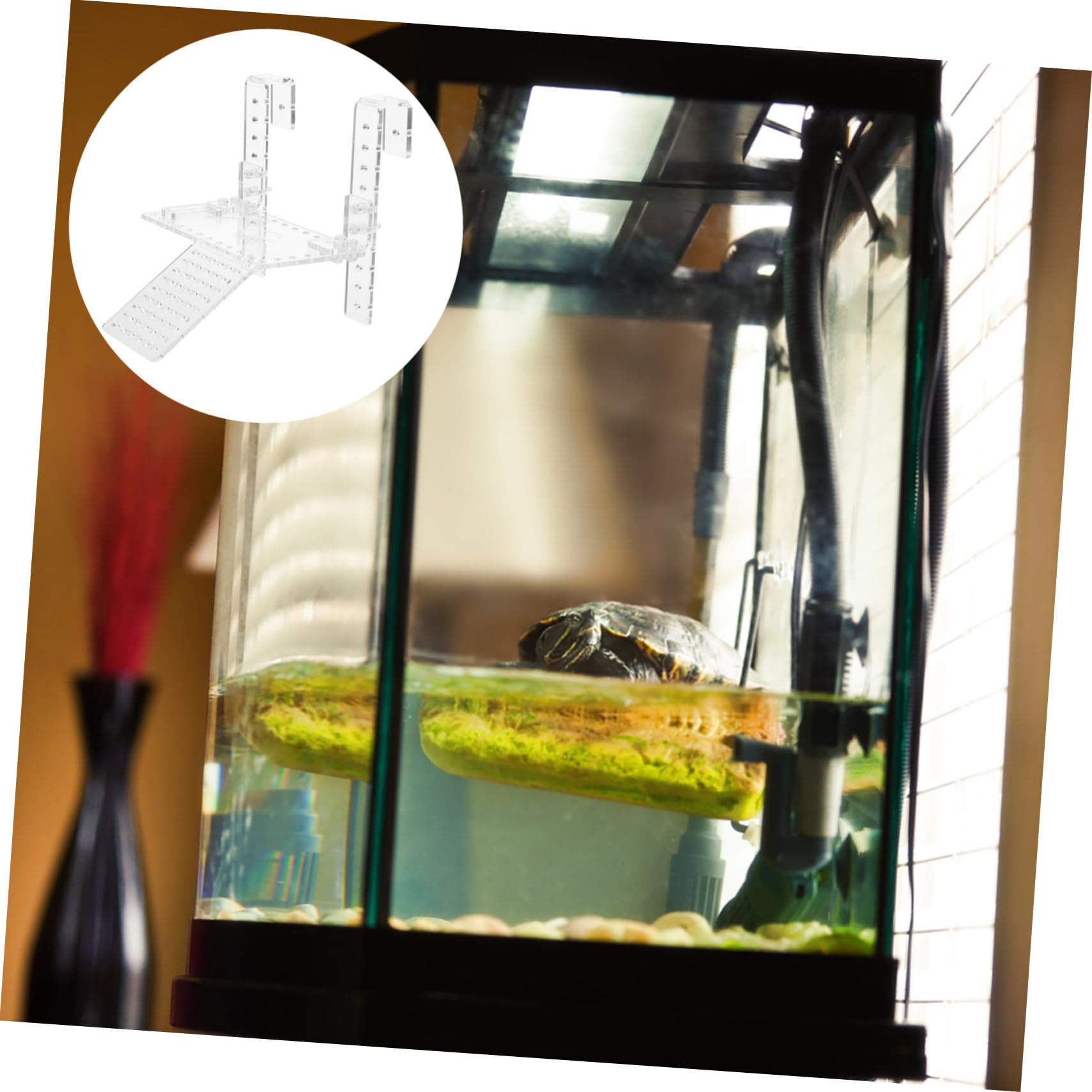 ibasenice Plateforme Flottante pour Tortues et Reptiles Aquatiques Rampe Escalade Facile à Installer Décor pour Aquarium et Bassin Accessoire pour Terrarium Extérieur