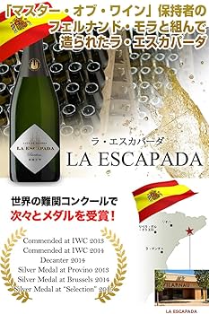 ワイン 10本セット イタリアワイン10本セット［wineg-001］