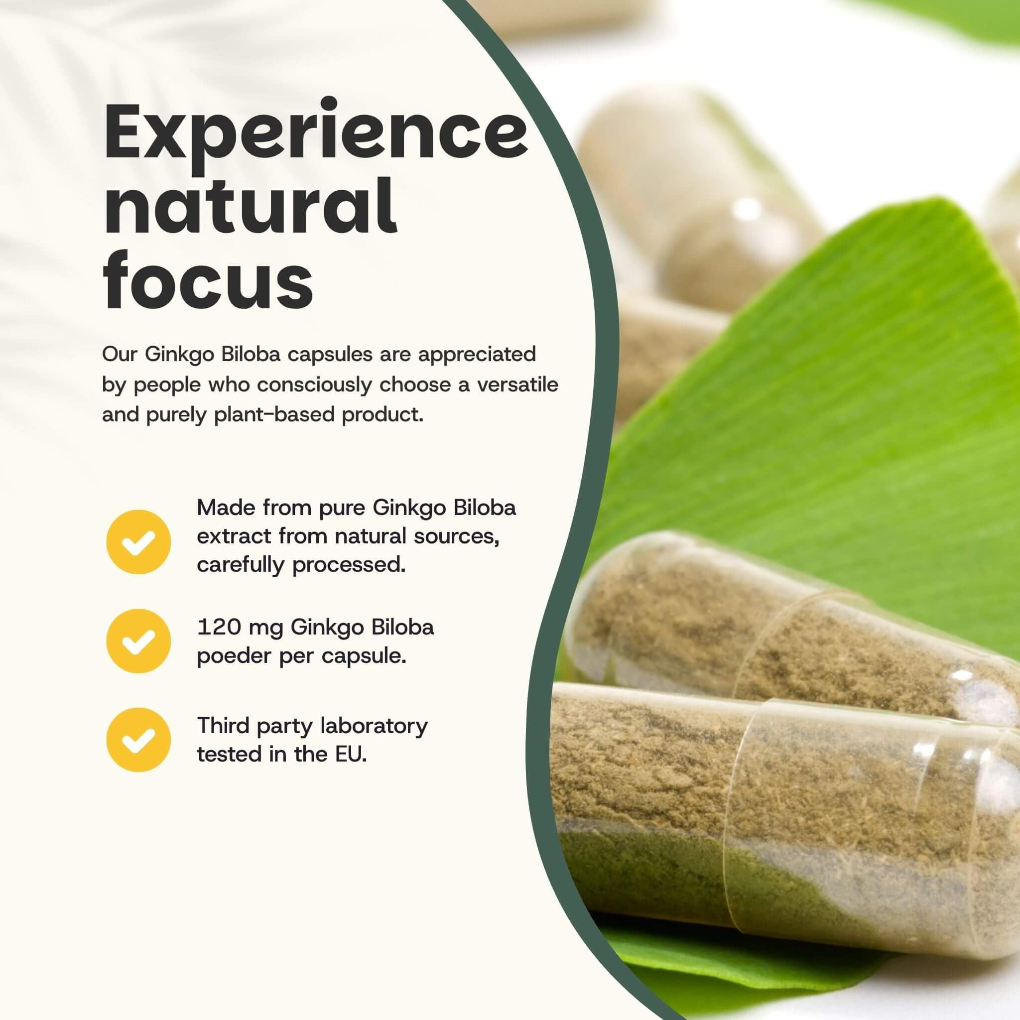 Ginkgo Biloba Kapseln 100 mg Kombideal 4x 60 Capsules - Gedächtnis & Konzentration - Nootropika Ginkgo - Vegan - Ohne Zusatzstoffe - Laborgeprüft - 60 Tage Vorrat pro Beutel