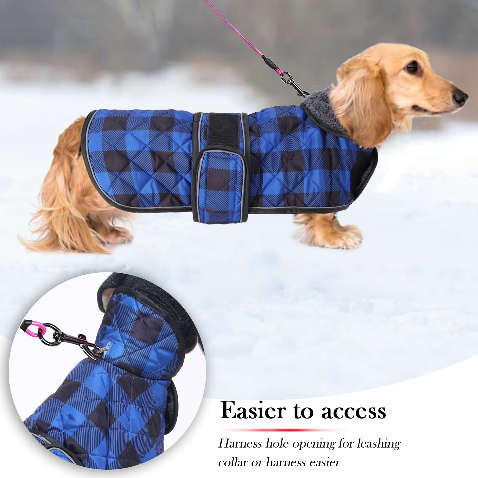 Geyecete Waterproof Warm Thermal Quilted Dachshund Coat with warm fleecy lining inside,Outdoor Dog Apparel with Adjustable Bands for DOG-Blue-S - Image 3