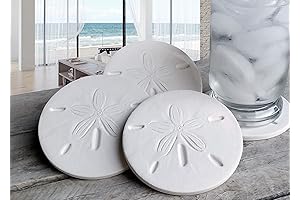 Best Absorbent Coasters for Drinks - Sand Dollar Set