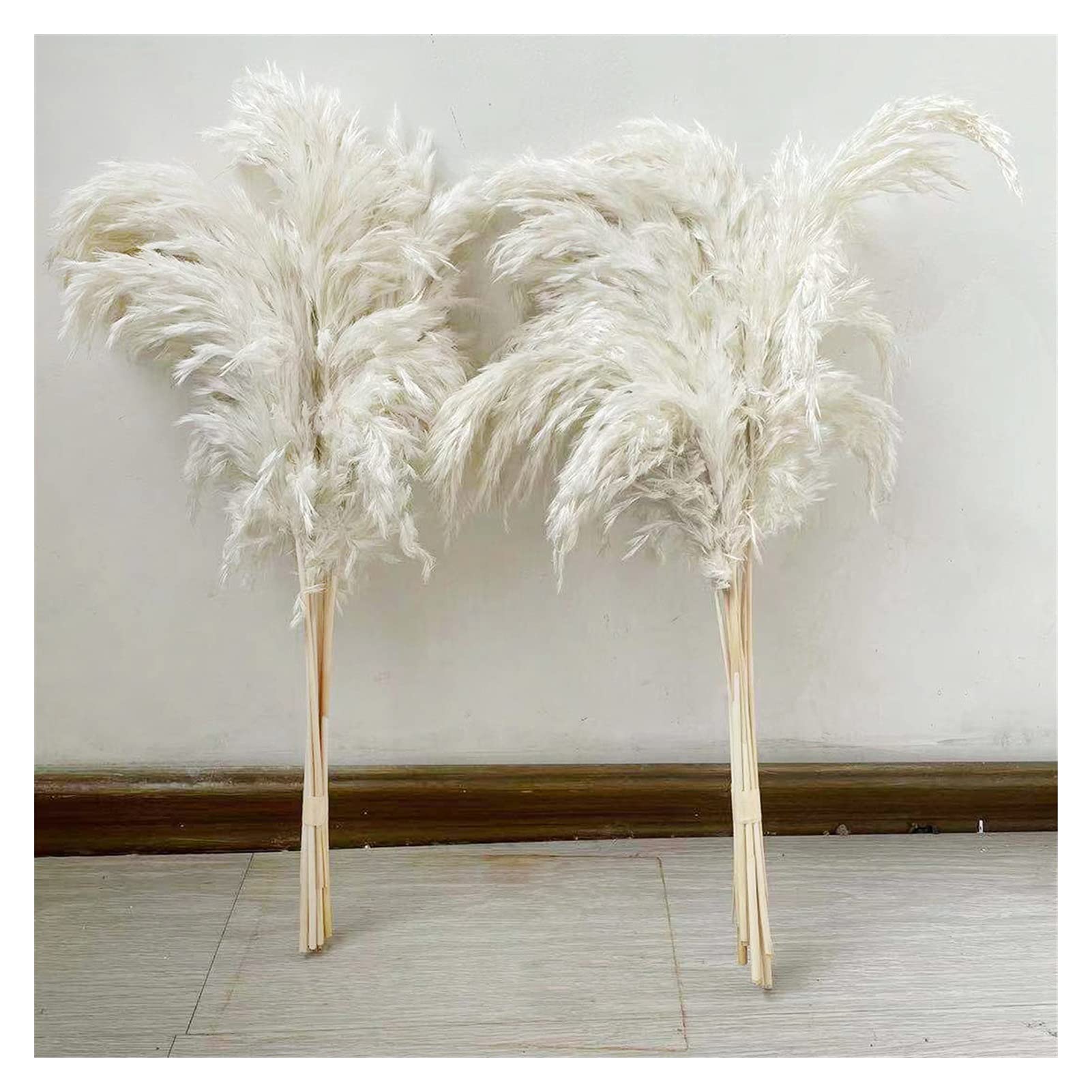 YANGQI Yaoqijie Herbe de pampa séchée de grande taille pour mariage ou décoration d'intérieur - Couleur : blanc - 20 tiges - Taille : L