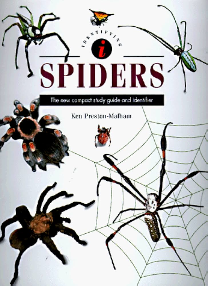 Identifying Spiders: The New Compact Study Guide and Identifier