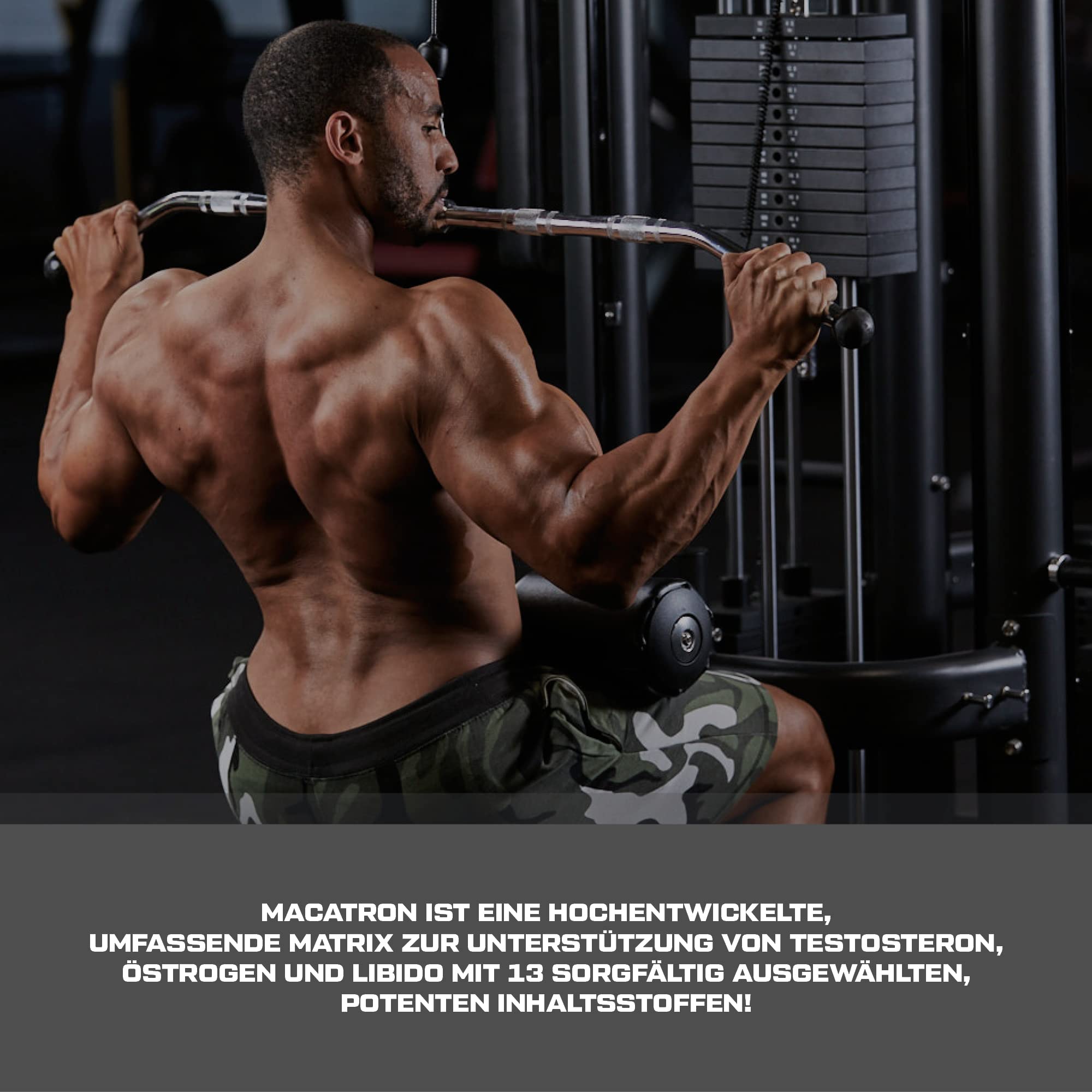 Scitec Nutrition Macatron, Hardcore testosteron, östrogen optimierer maca, testofen®, daa testosteron komplex, 108 Kapseln