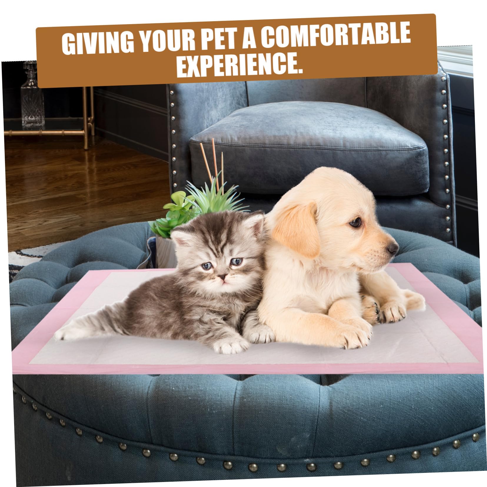 POPETPOP 1paquete Empapadores para Perros Almohadillas Absorbentes para Entrenamiento De Mascotas para Cachorros y Perros Mayores Uso Interior y Exterior