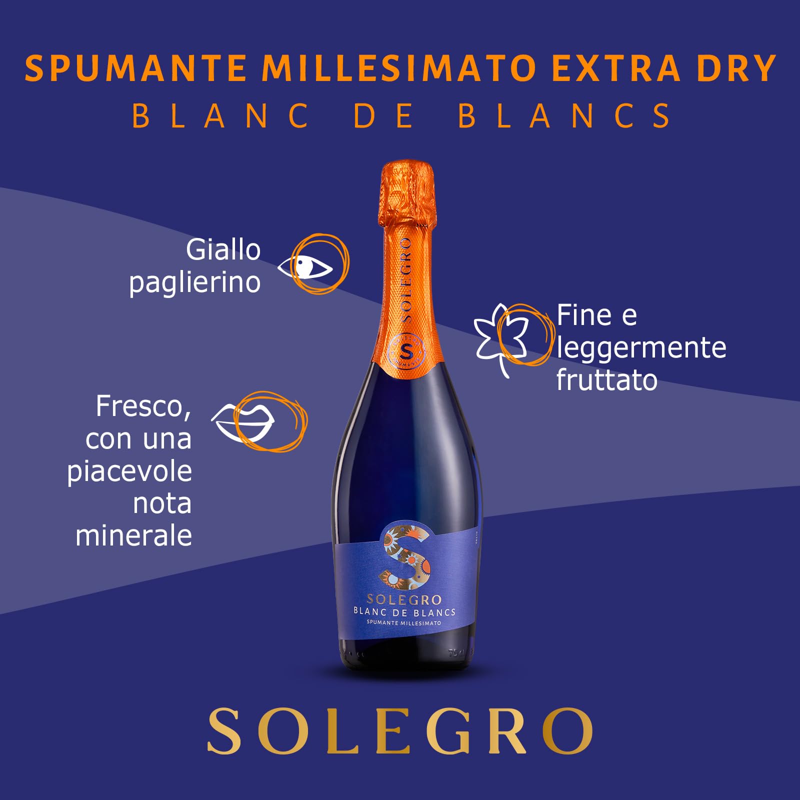 Solegro Spumante Blanc de Blancs Millesimato Extra Dry, Fresco e Fruttato, perfetto da Aperitivo - 11% vol, Confezione con 6 Bottiglie da 750 ml