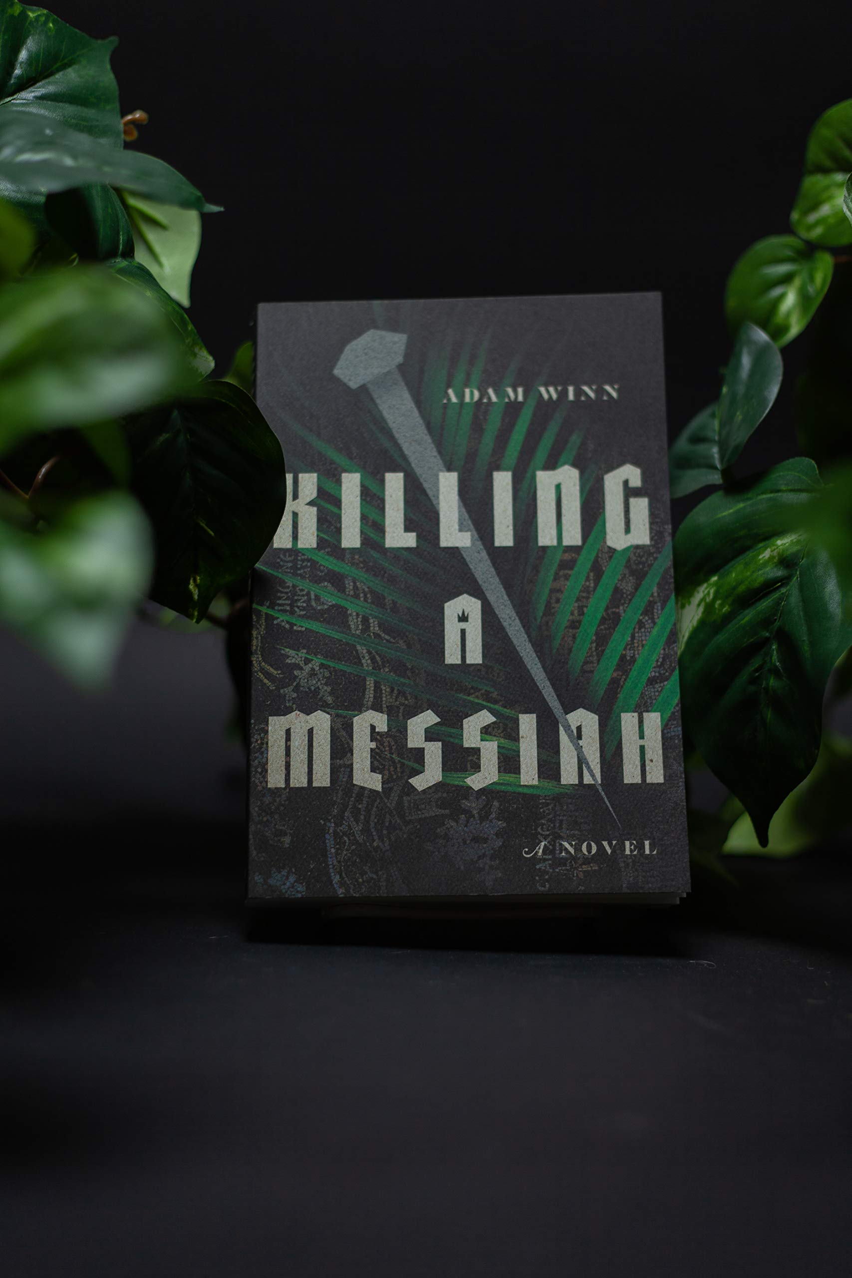 Killing a Messiah: A Novel - Image 2