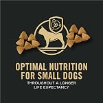 Purina Pro Plan Aliments pour chiens secs de race petite, poulet & Riz - 8.16 kg Sachet (1 Boîte)